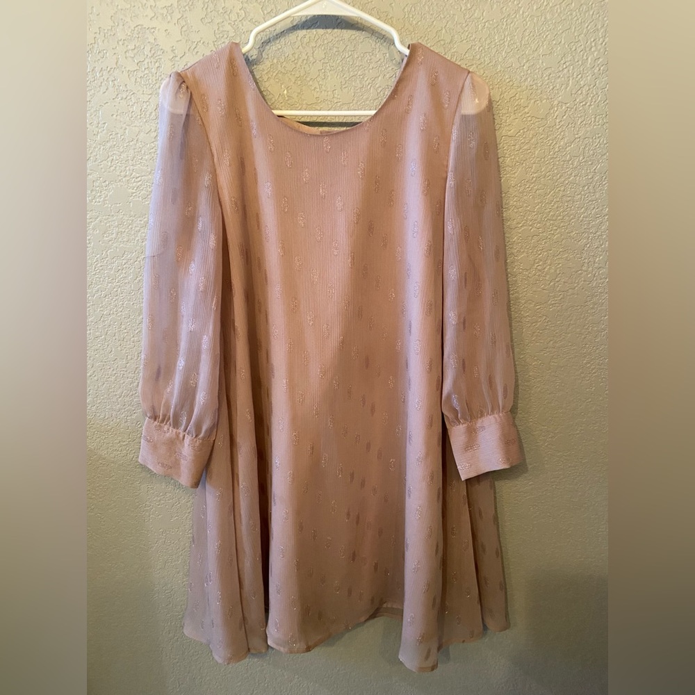 Long sheer sleeve shift dress
